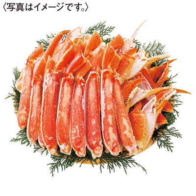 ボイルずわいがにハーフポーション　１．６ｋｇ