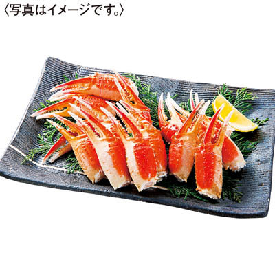 ボイルずわいがに爪肉　１ｋｇ