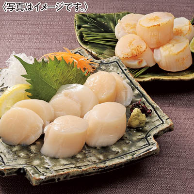 ＜きたに池田＞－７０℃凍結プレミアムほたて貝柱