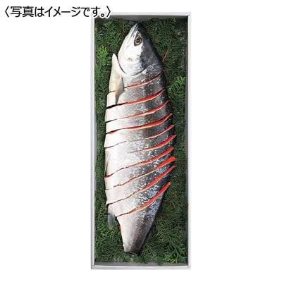 ＜王子サーモン＞紅鮭姿切身半身