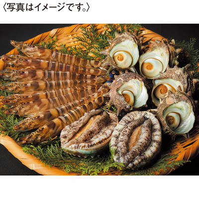 ＜天草フーズ＞九州産　活車えび・活あわび・活さざえセット