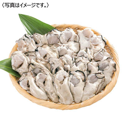 ＜オオノ＞広島県産極鮮王　生かきむき身　加熱用