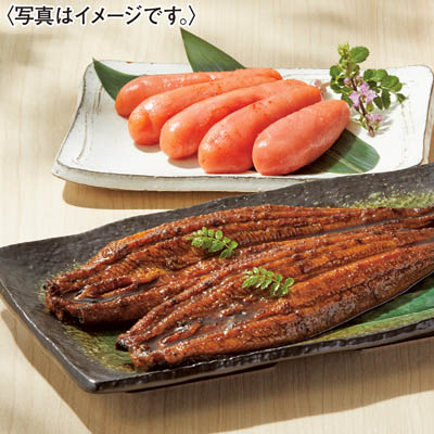 ＜福さ屋＞辛子明太子・うなぎ蒲焼詰合せ