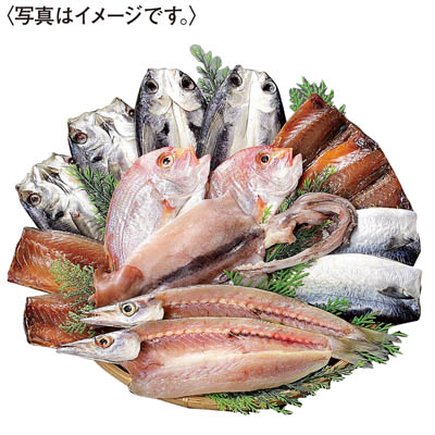 ＜山道水産＞長崎五島灘一夜干し