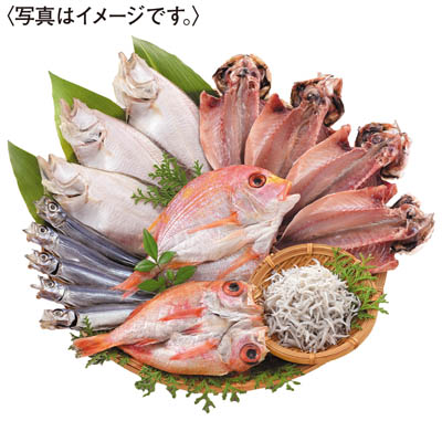 ＜国近商店＞海匠國近　魚急便