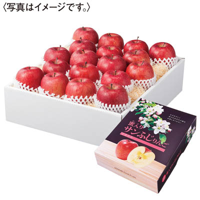 青森県産　蜜入りサンふじりんご