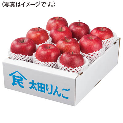 青森県産　蜜入りサンふじりんご