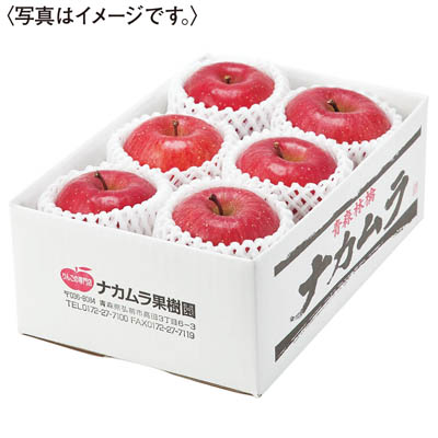 青森県産　蜜入りサンふじりんご