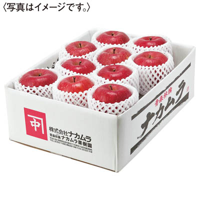 青森県産　蜜入りサンふじりんご