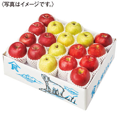 青森県産　りんご食べ比べセットサンふじ、王林、ジョナゴールド