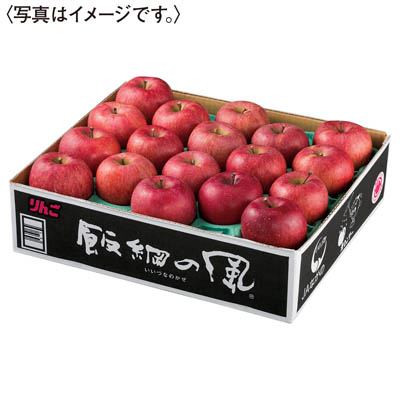 長野県産　飯綱サンふじ