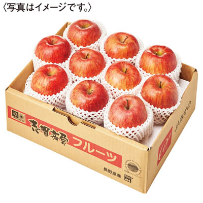 長野県産＜ＪＡながの＞まるかじりサンふじ