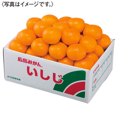 広島県産　いしじみかん