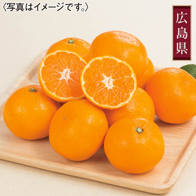 広島県産　こだわりいしじみかん