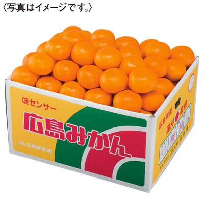 広島県産　みかん