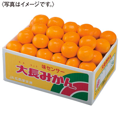 広島県産　大長みかん