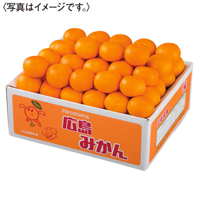 広島県産　瀬戸田みかん