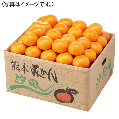 熊本県産　手詰め汐みかん