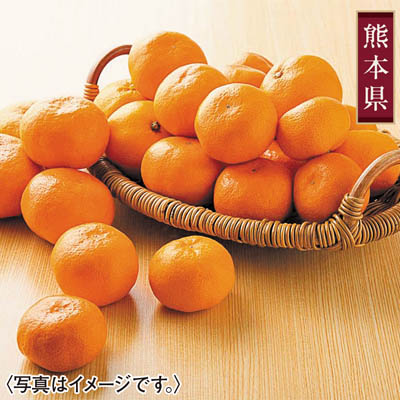 熊本県産　手詰め汐みかん