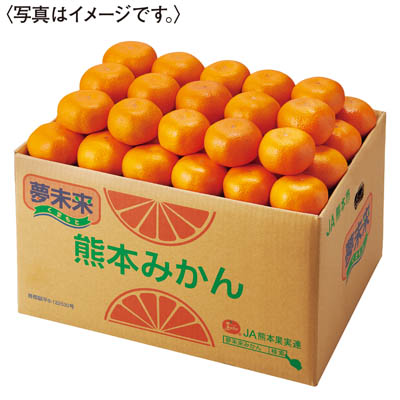 熊本県産＜ＪＡ熊本市＞夢未来みかん