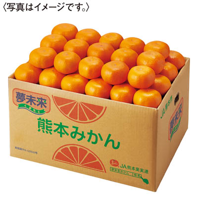 熊本県産＜ＪＡ熊本市＞夢未来みかん