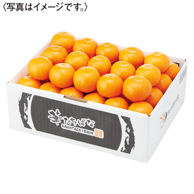 福岡県産＜ＪＡふくおか八女＞華たちばなみかん　５ｋｇ