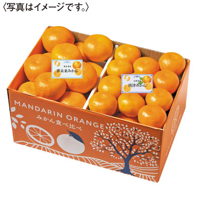 みかん食べ比べ（佐賀、熊本）