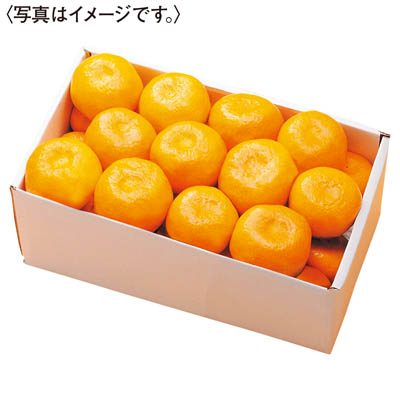 和歌山県産　有田みかん［２．５ｋｇ］
