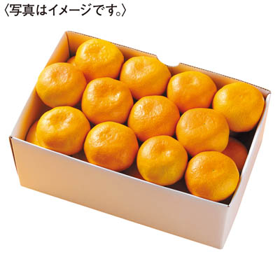 愛媛県産　愛媛みかん［３ｋｇ］
