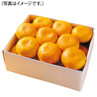 愛媛県産　愛媛みかん［２ｋｇ］