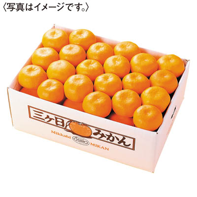 静岡県産　三ヶ日みかん［４ｋｇ］
