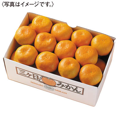 静岡県産　三ヶ日みかん［２．５ｋｇ］