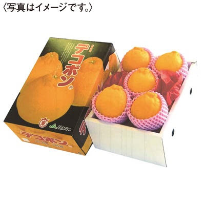 佐賀県産＜ＪＡからつ＞デコポン
