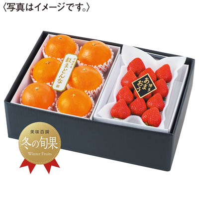 紅まどんな＆博多あまおう