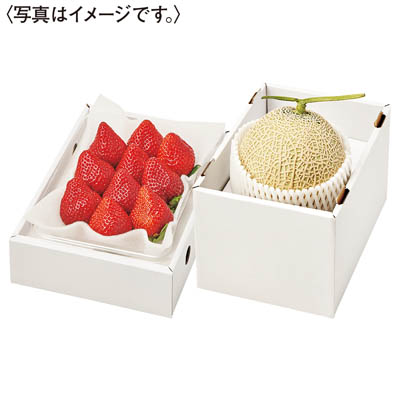 あまおう苺とアールスメロン