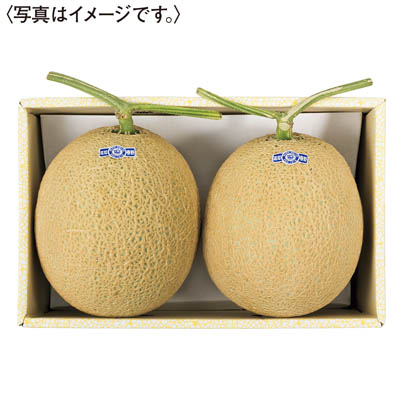 高知県産　アールスメロン２玉