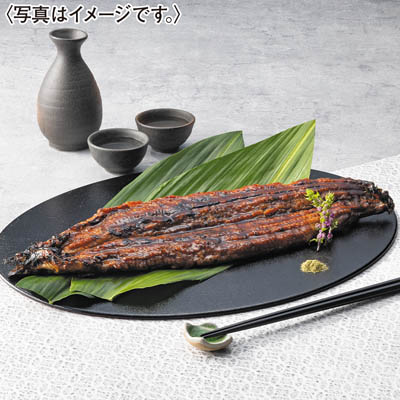 ＜兼光水産＞幻の新仔うなぎ