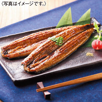 ＜鰻楽＞九州産うなぎ蒲焼２尾セット