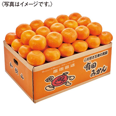 和歌山県産　小南農園　有田みかん