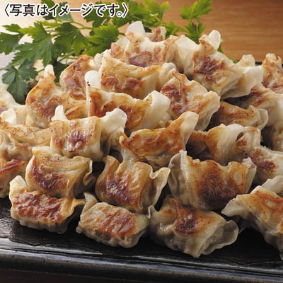 国産豚肉のひとくち肉餃子