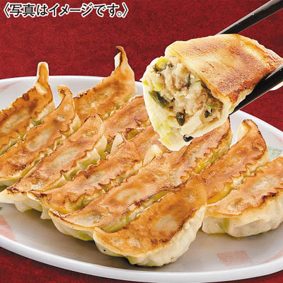＜宇都宮餃子館＞お店で人気の餃子６種セット