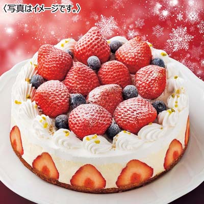 【限定800台】タカキベーカリー youmeのクリスマスケーキ
