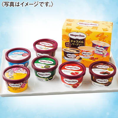 【限定1,500セット】ハーゲンダッツ クリスマスアイスクリームギフトセット