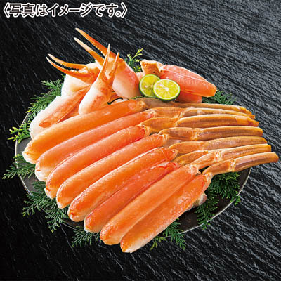 【限定100セット】生ずわい蟹ハーフポーション