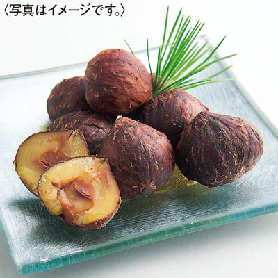 熊本県産 国産渋皮栗