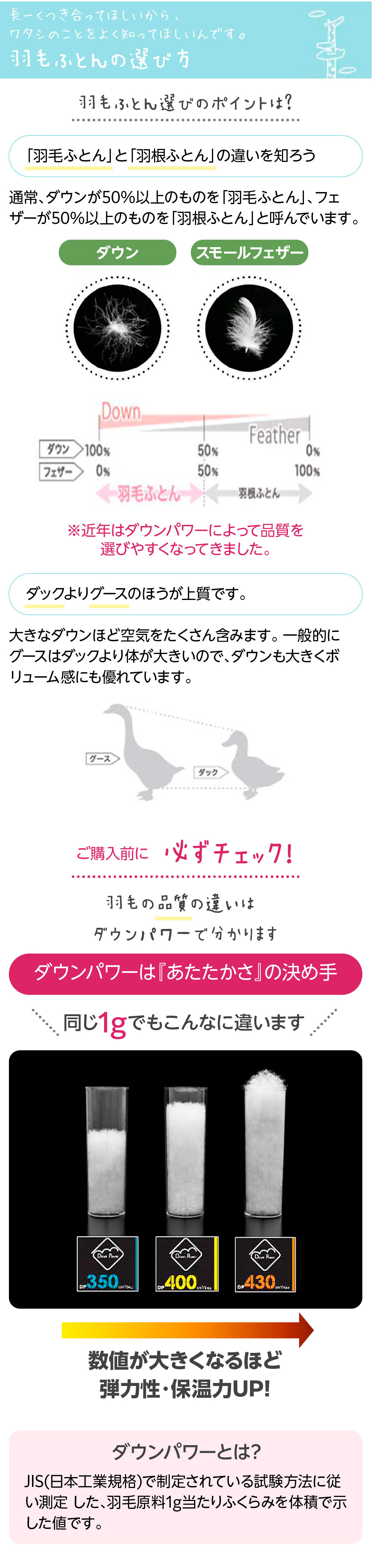 羽毛布団について2