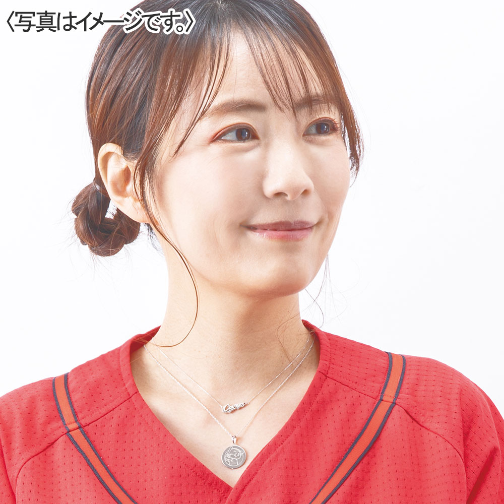 着用画像