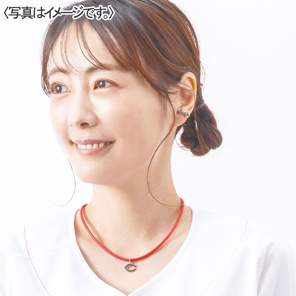 着用画像