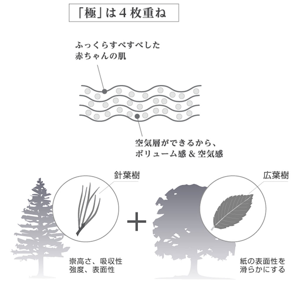 極みティシュー2