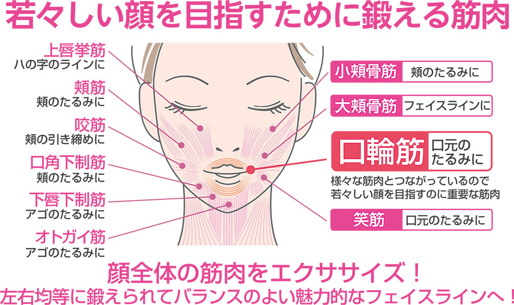 フェイシャルリフトワンス1